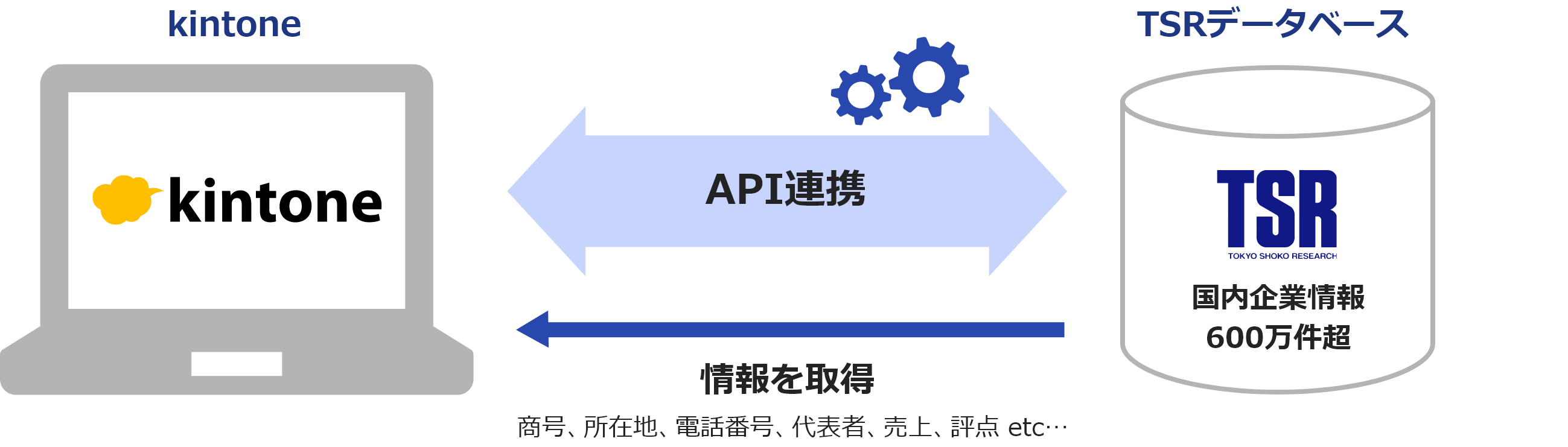 API連携