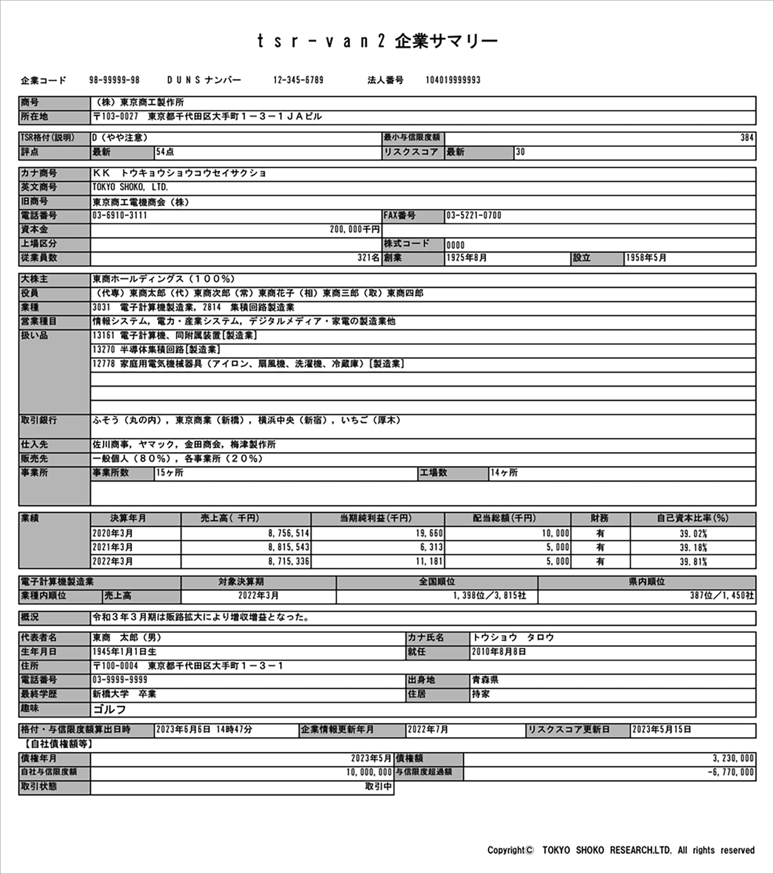 サマリーレポート