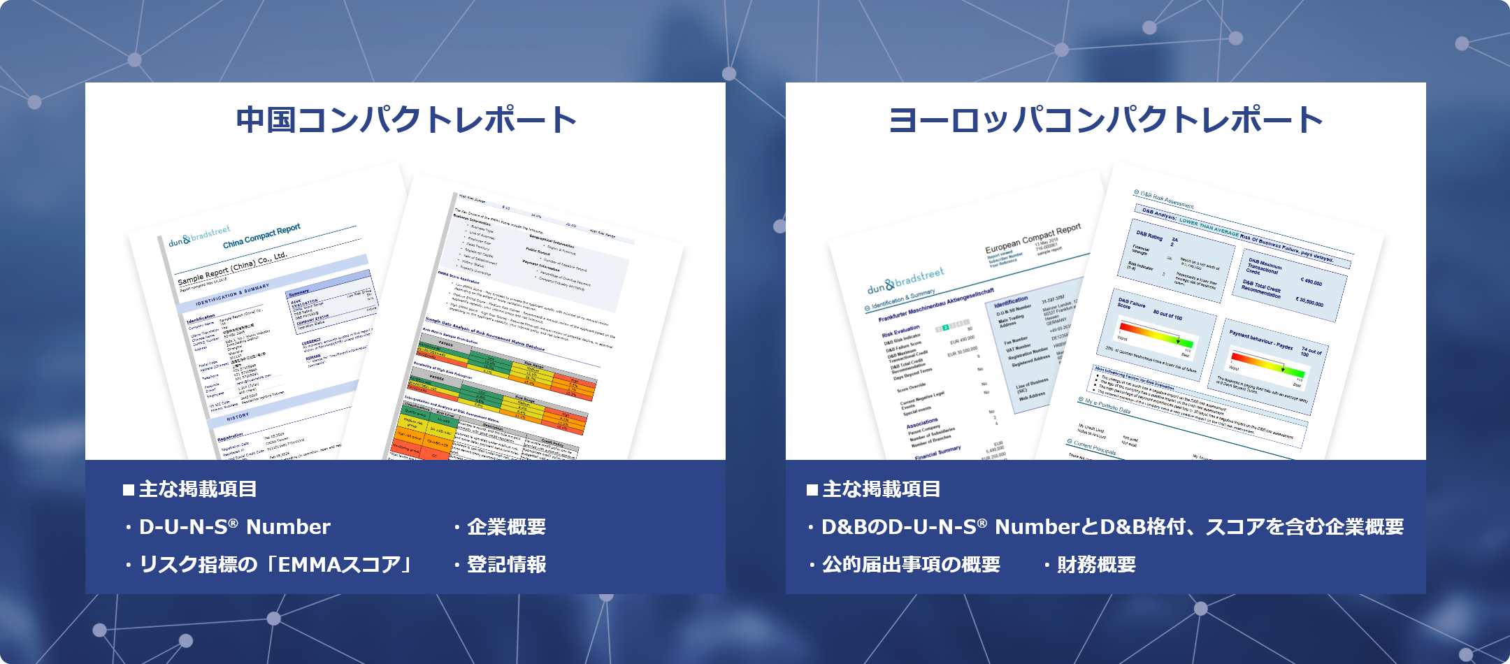 ヨーロッパ・中国の企業概要、財務、評価、公的届出情報などの基本情報を記載したレポート